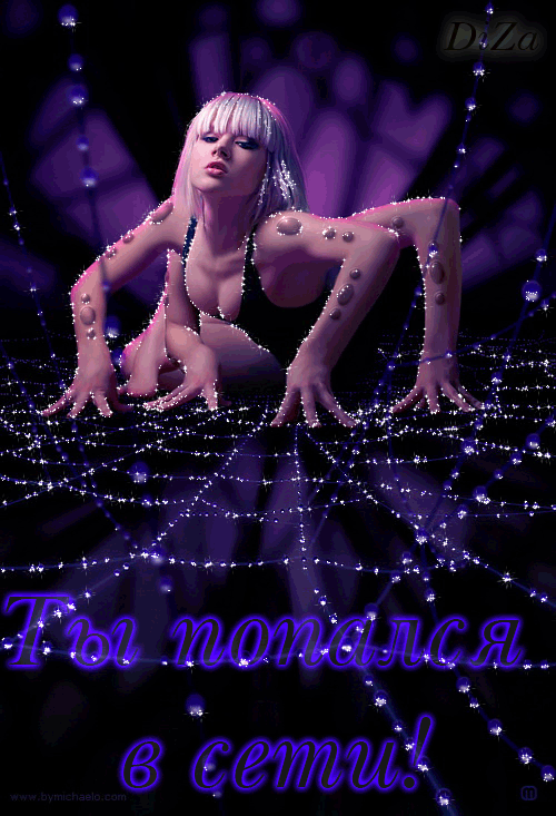 35.1169