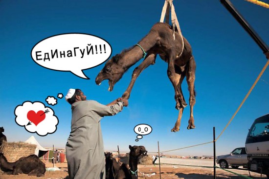 post-3-12542835173449 copy