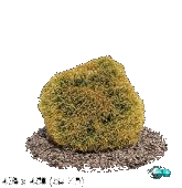 e1edcc48aa7f575586cf0cc681630aa2