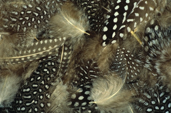 99b2d3968524784fe7e9126edcb99841_full