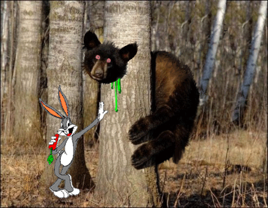 1111111111111111111111