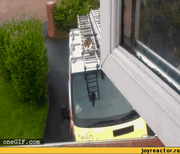 гифки-котэ-паркур