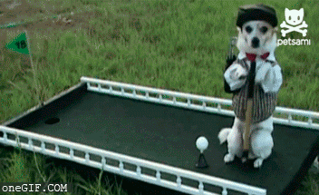 ElperrodeTigerWoods