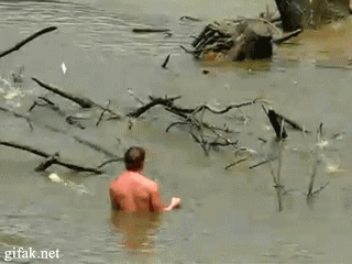 gifs_02