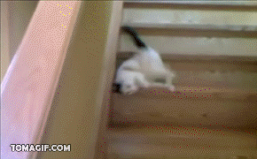 cfs