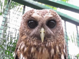 496fde708f7f642e69e3de03ff8a50a8