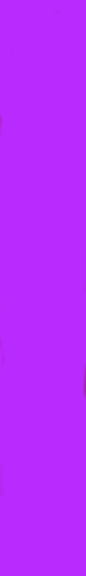 neon_yapfiles