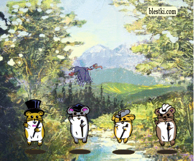 tancujuwie-homjaki