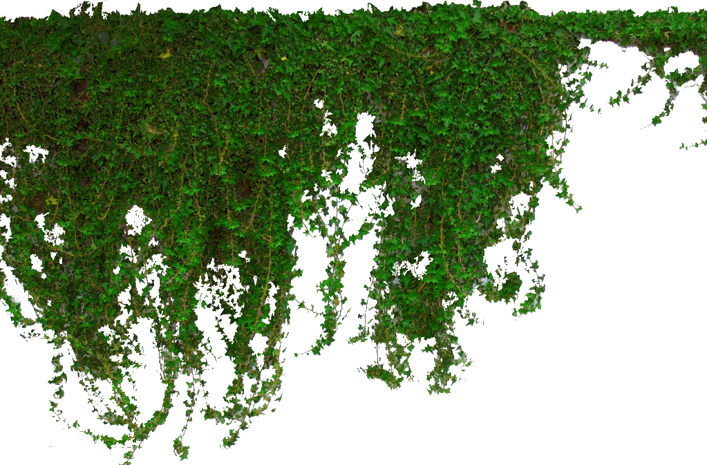 цветы висячие комнатные искусственные. плющ 3д. свисающий мох. свисающие лианы. мох платмос.