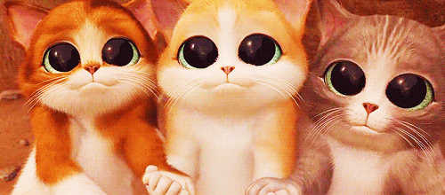 tumblr_m62tb0aGvf1qiezmeo1_500