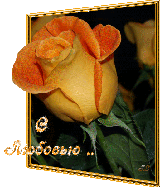 155d277c7777950f90bedb7f8c8021b1