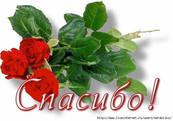 59648757_6b076ac7db41t