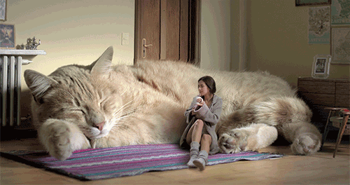 gifs_15