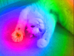 tumblr_m755pw55SN1ry8z36o1_250 (1)