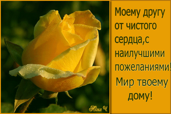 1a335dc4a9da