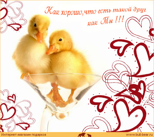 73591290_card15