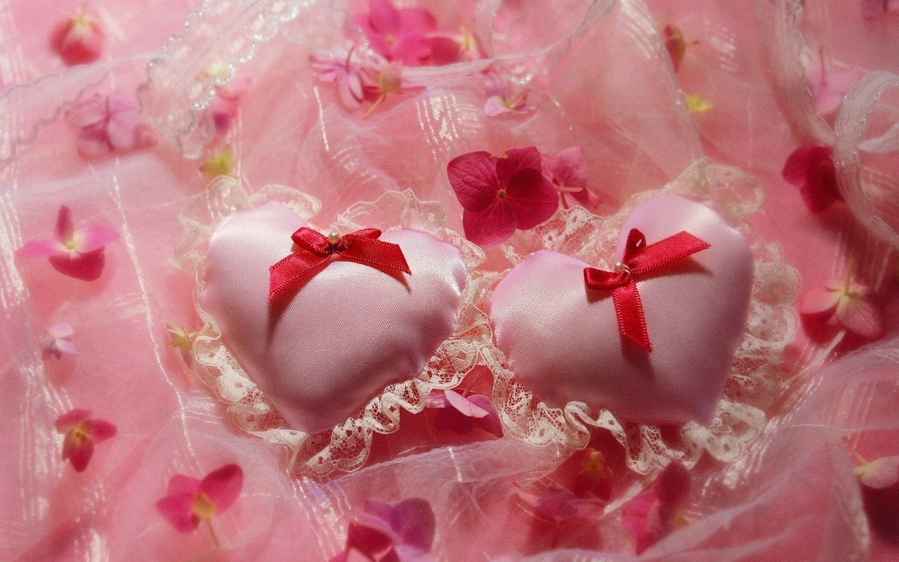 �������� � ����� ��������