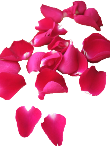 arose_petals