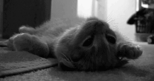 tumblr_m5k5a7lVkz1rv3b62o1_500