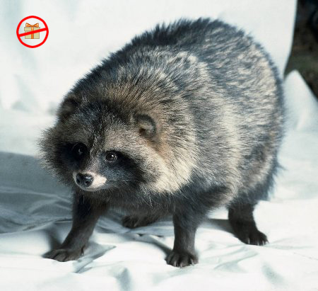 Хорхе