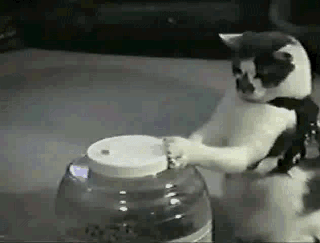 13480289961383