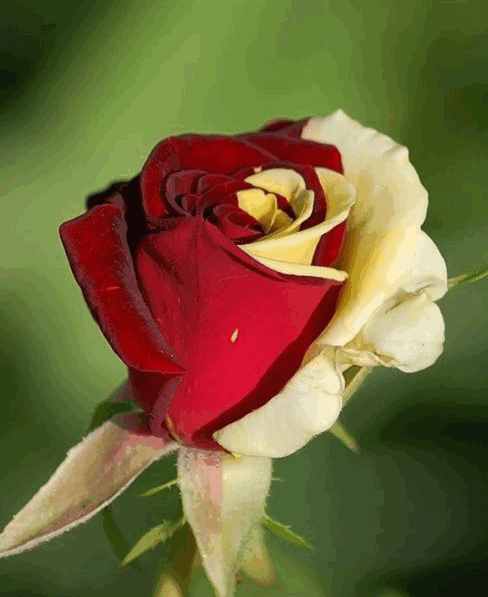 2012-09-23_214731