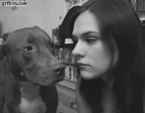 1329933873_dog_vs_girl_tongue_war