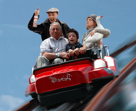 атракцион-с-гусём-и-тётка-м