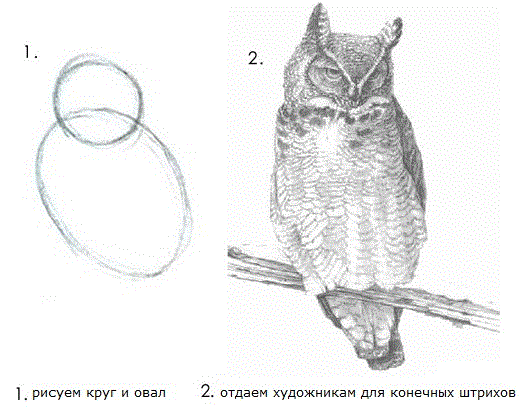 Рисуем сову