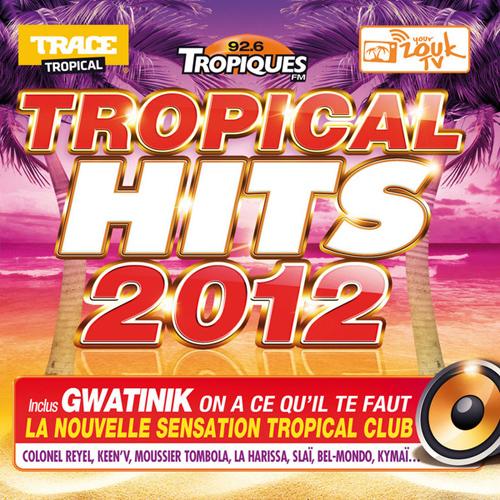 VA - Tropical Hits 2012