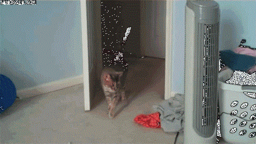 1349965277_gifs_02
