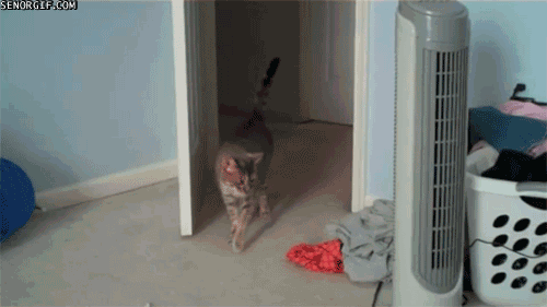 1349965277_gifs_02