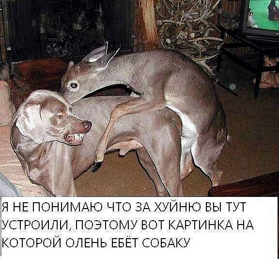 123