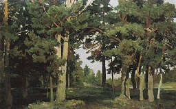 елки шишкина