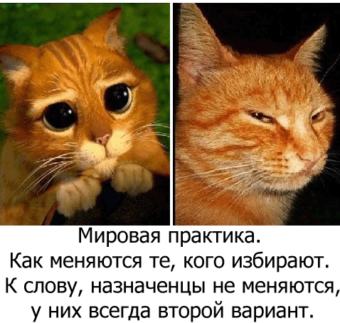 vybor2