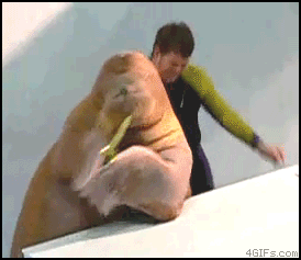 1 (1)
