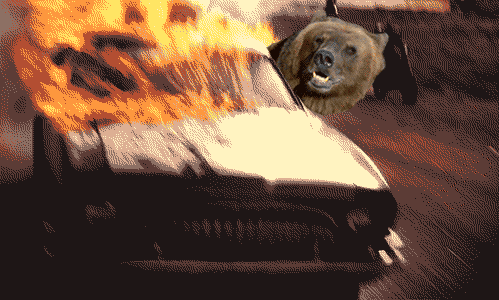 медведь горит