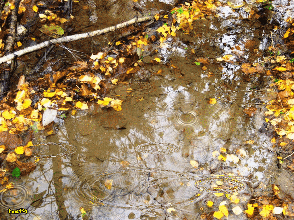 Осенние дождики вовсе не похожи впр 6. Осень мертвые дожди. Ноябрь дождь. Дождь в ноябре словно. Дождь поздней осенью.