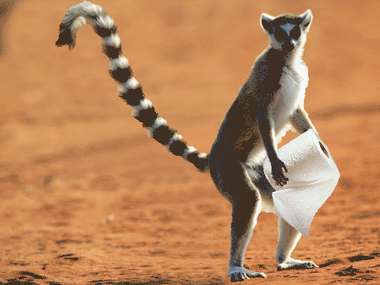 post-3-12574926797469-1