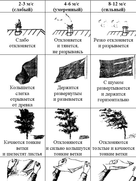 Сила ветра картинки