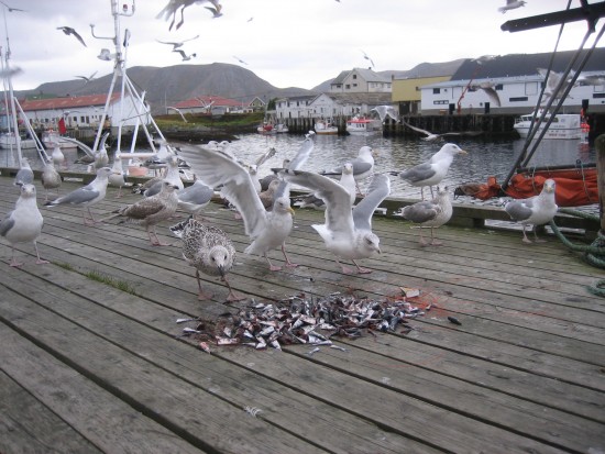 Изображение 127