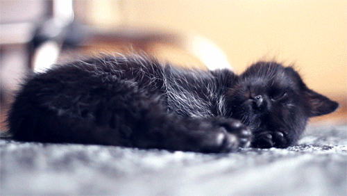 daily-gifs-mix-154-8