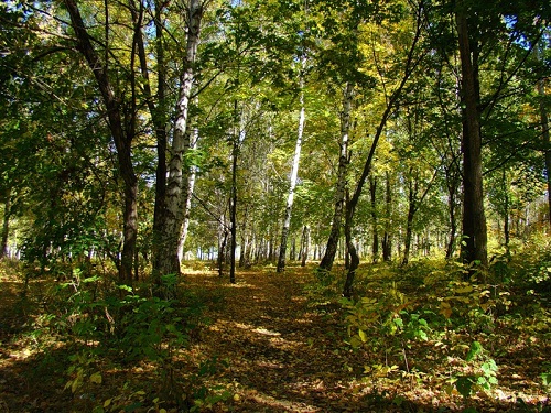 парк