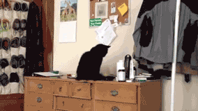 3mZLr_yapfiles.ru