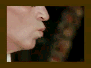 мечты кисы