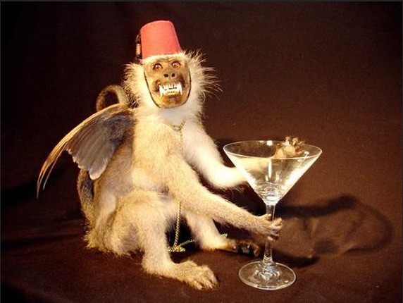 monkey