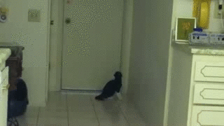 акр
