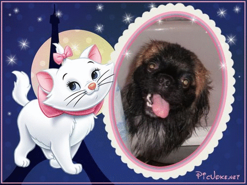 1-ru-2c0d551a4c6734de29efe8a3305b5c8f