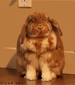 3336