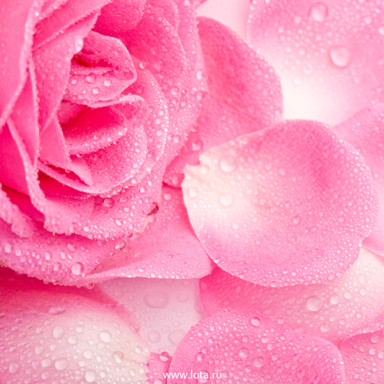 3123-b1bde5d251c9ed4a7dd417a5df0e420b